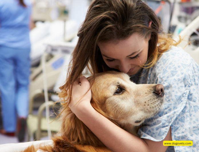 The Powerful Bond: How Pet Therapy Improves Your Health and Well-being